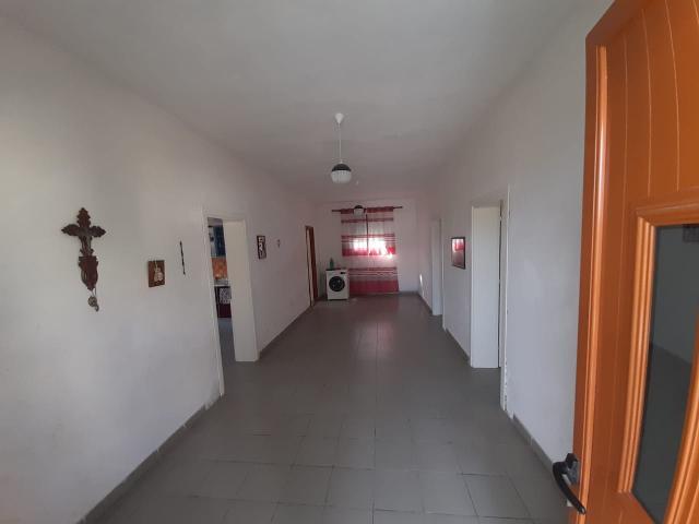 ee37d7ac-8a8d-4adf-b256-5b9d3dbb8a0c_w640px.jpg