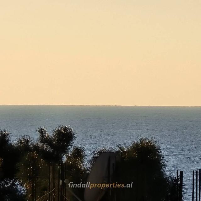 f28cd236-f4b1-4a1e-bd15-ab97309324e6_w640px.jpg